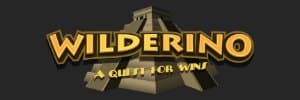 Logotipo Wilderino' data-src='/wp-content/uploads/wilderino-casino-logo-1.jpg